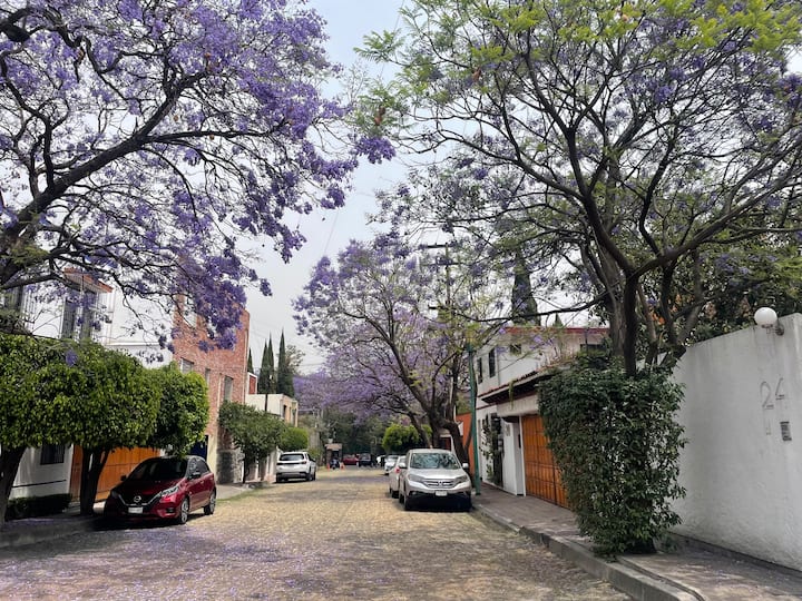 Casa Médicos/acogedora Zona De Hospitales,tlalpan - 멕시코시티