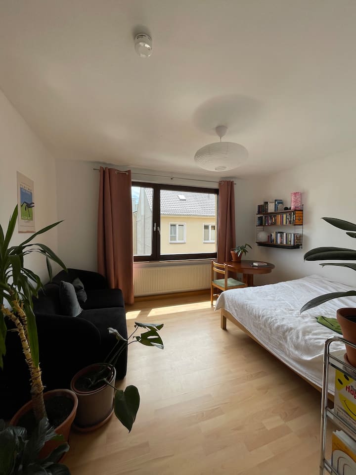 Zentrale Einzimmerwohnung In Ruhiger Lage - Cologne