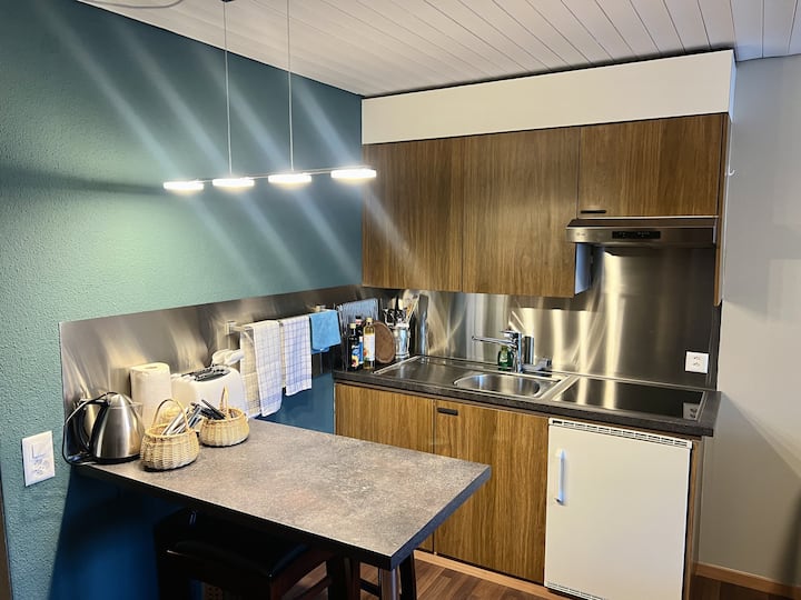 Studioapartment In Göschenen - Andermatt