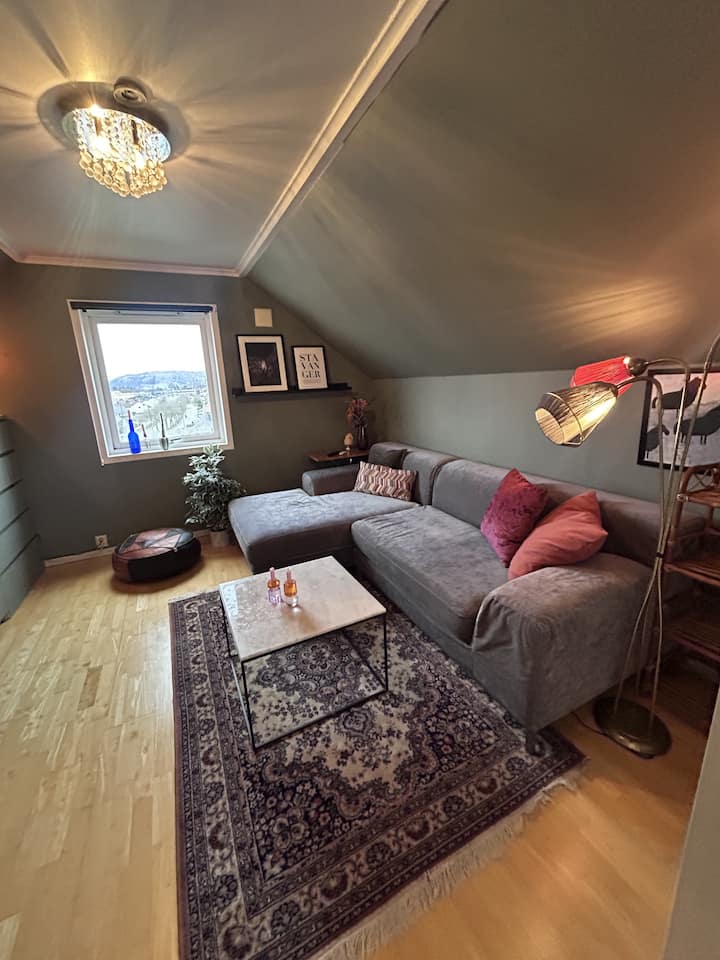 Lun Og Bohemsk Loftsleilighet På Ullandhaug - Stavanger
