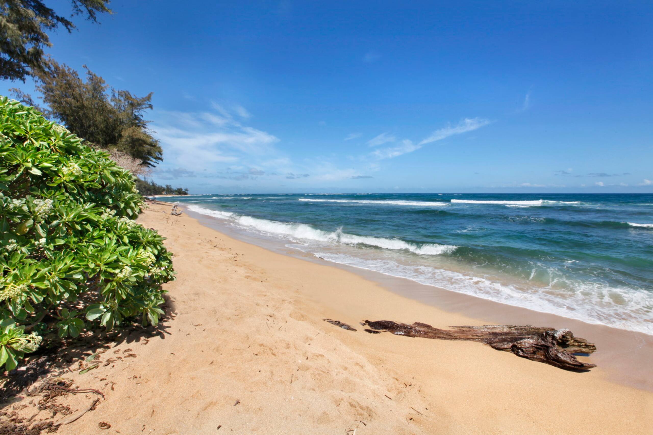 Islander on the Beach 246 - Photo 33