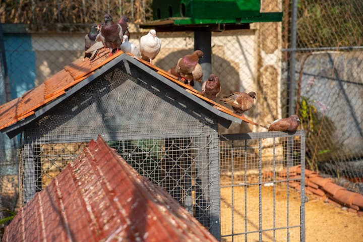 Chạm Chậm Farmstay  Phòng Dưa Hấu - Ba Ria