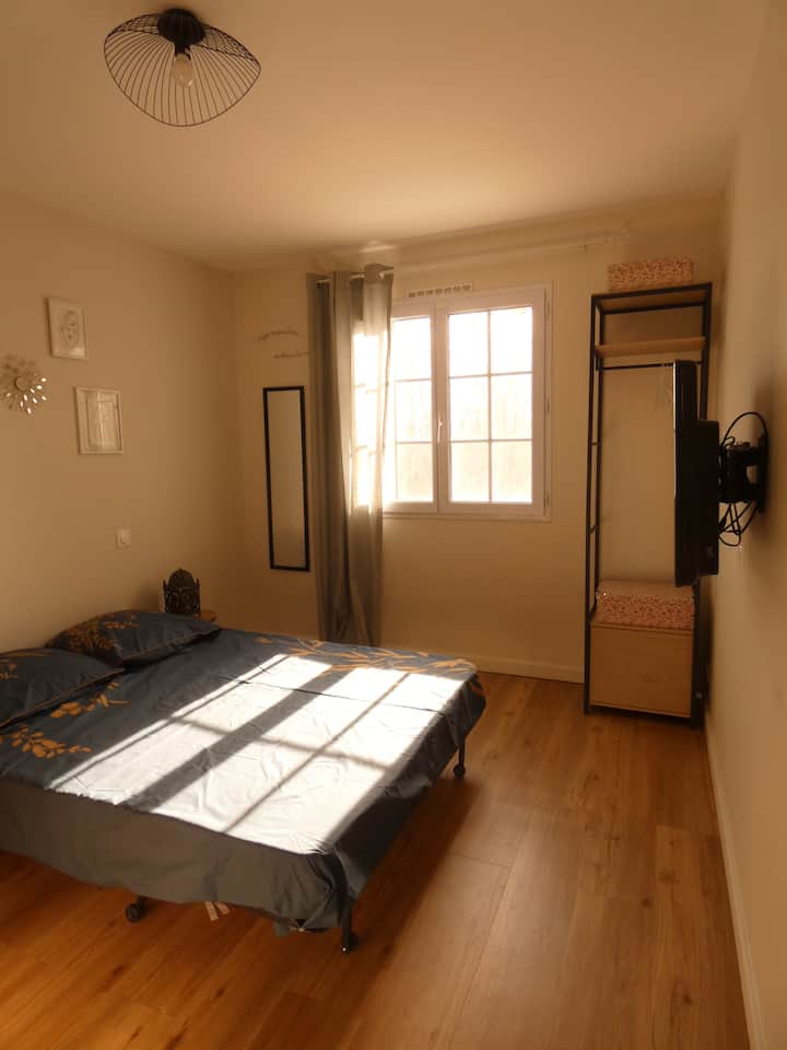 Habitación 1