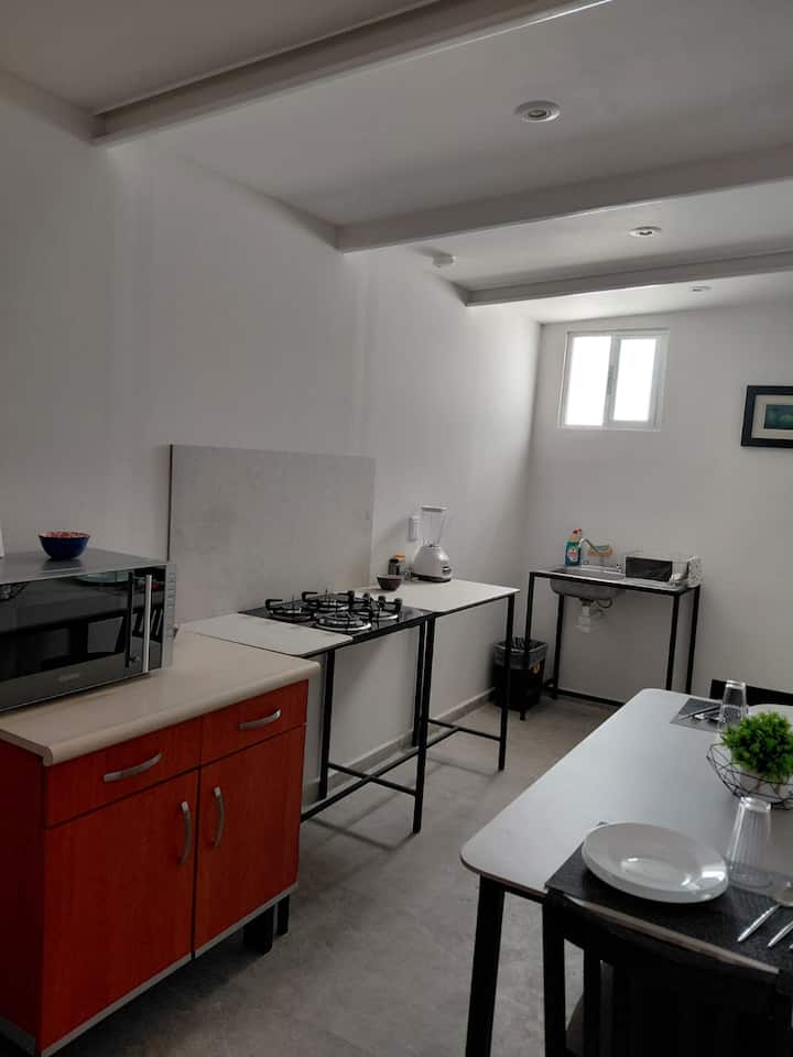 Céntrico Loft Por Plaza Fundadores Planta Alta - San Luis Potosí