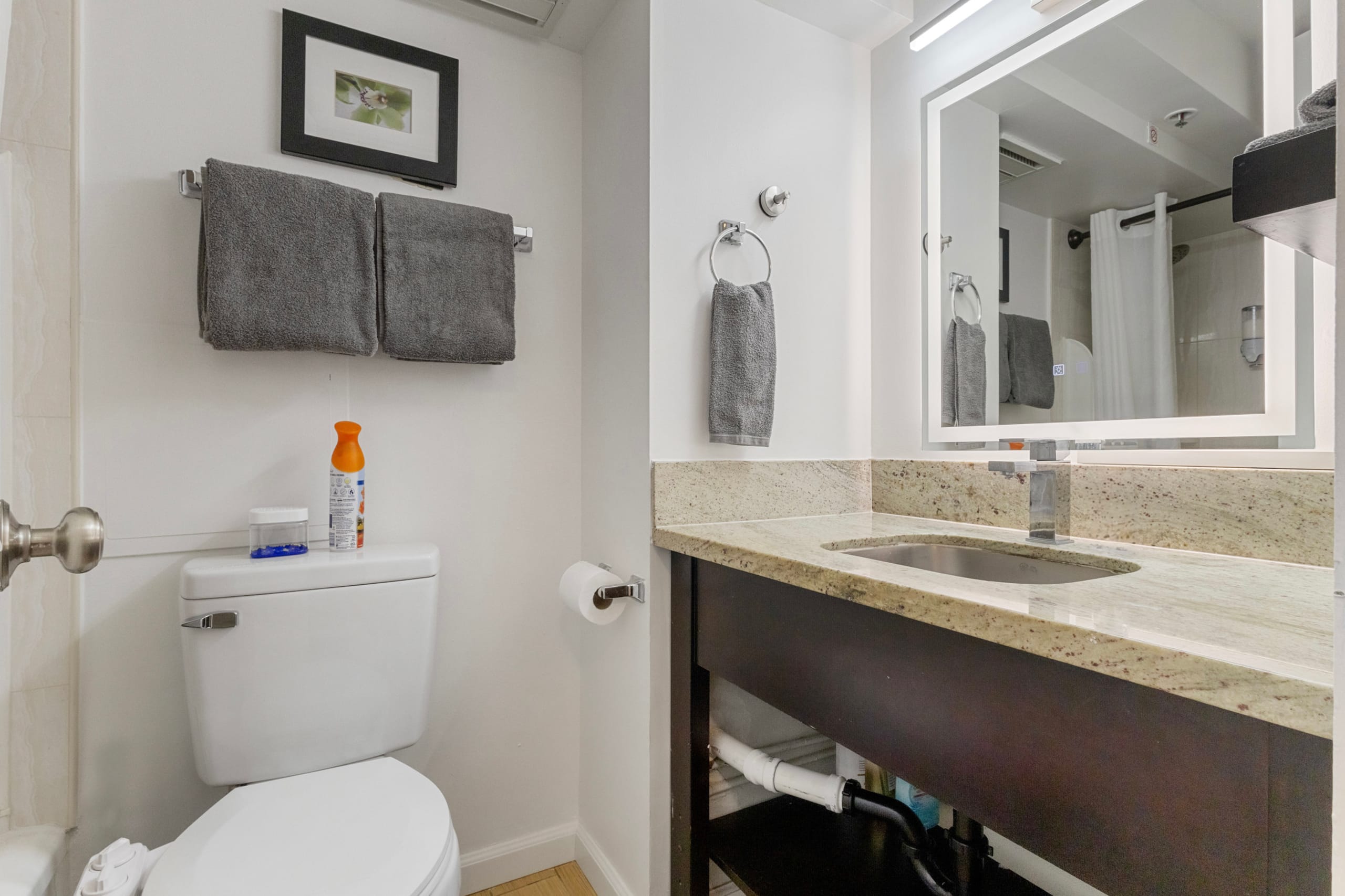 [New] Renovated Modern Studio w/ Pool + Beach Gear - Image 6