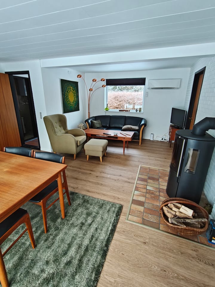 Hyggeligt Sommerhus Tæt På Ringkøbing Fjord. - Denmark