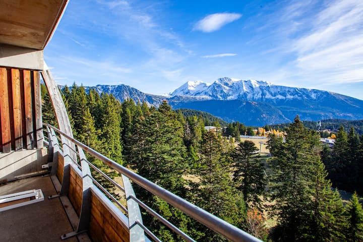 Ski Aux Pieds-2 Chbr-terrasse Vue Montagne-parking - Chamrousse