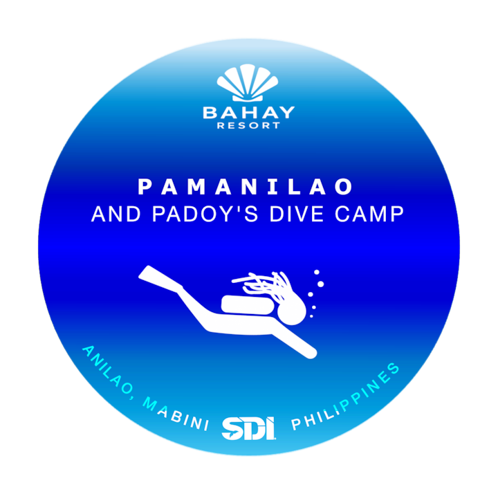 รูป PamAnilao and Padoy's Dive Camp - เตียงเดี่ยว - ดูมาลาก 1