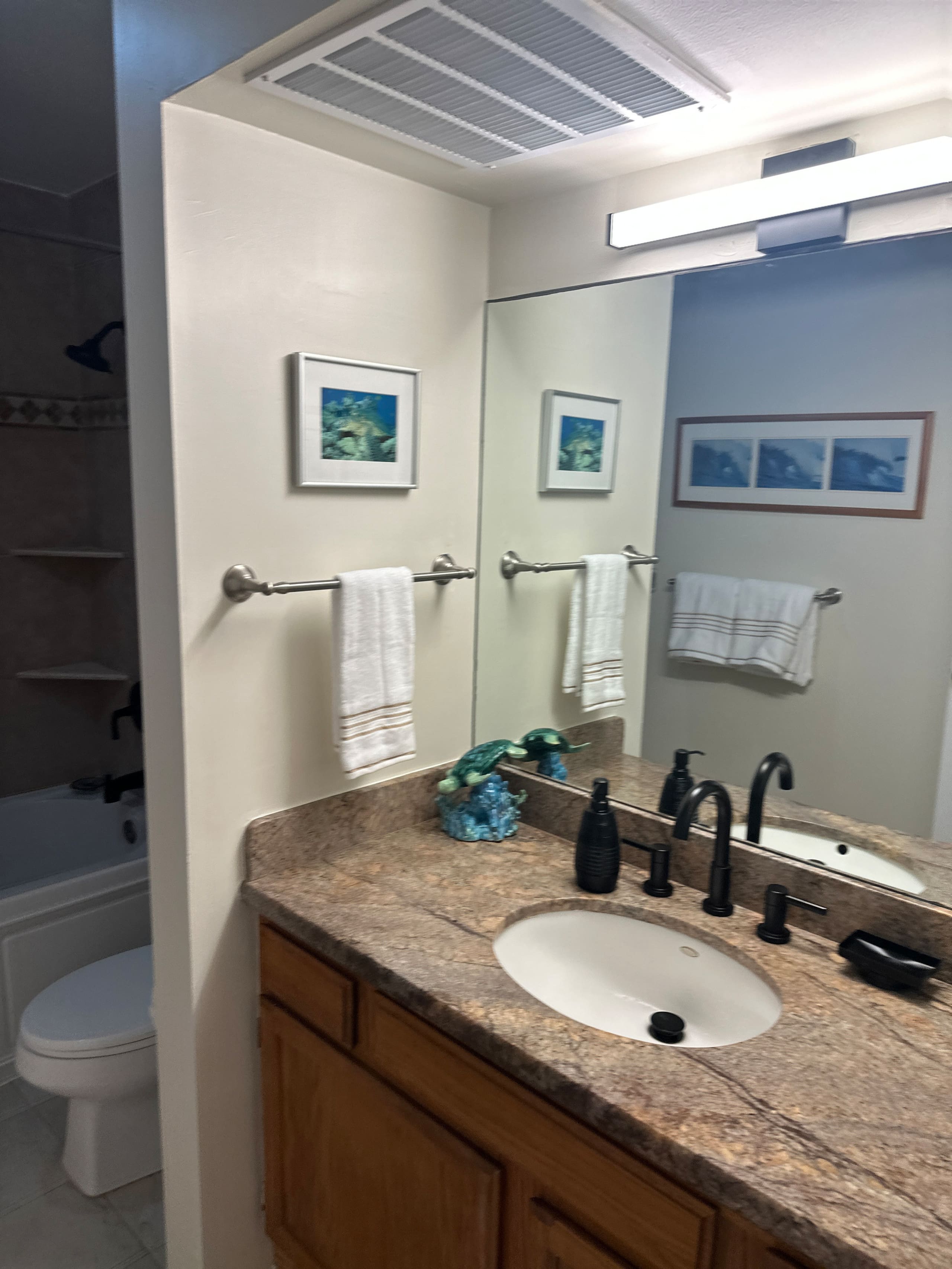 Condo in Kailua-Kona · ★5.0 · 1 bedroom · 1 bed · 1 private bath - Image 20
