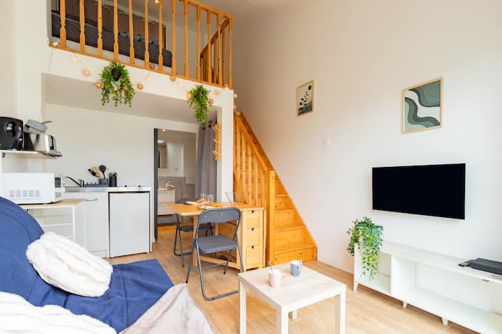 Le Chill - Parking - Wifi - 2 Pas Du Meett - Pibrac