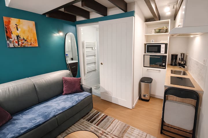 Studio Gare Centre Rouen Ménage Et Linges Inclus - Rouen