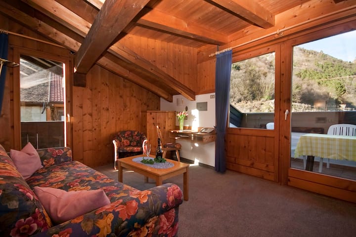 Zweizimmerwohnung Mit Balkon B - Tirol