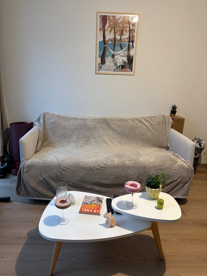 Appartement T2 Cosy En Centre-ville - 릴