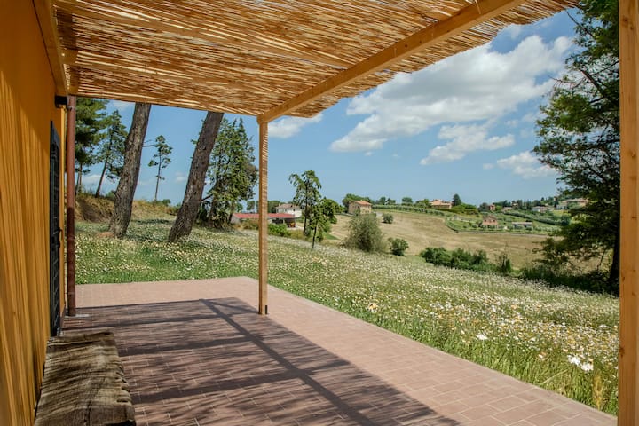Ferme Dans Une Pinède Avec Vue Sur Belvedere - Jesi