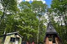 A Frame Glamping Cabin On 27 Acres by the Lake rental in Hastings Highlands