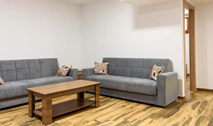 Lower Level - Living area with two sofa-beds