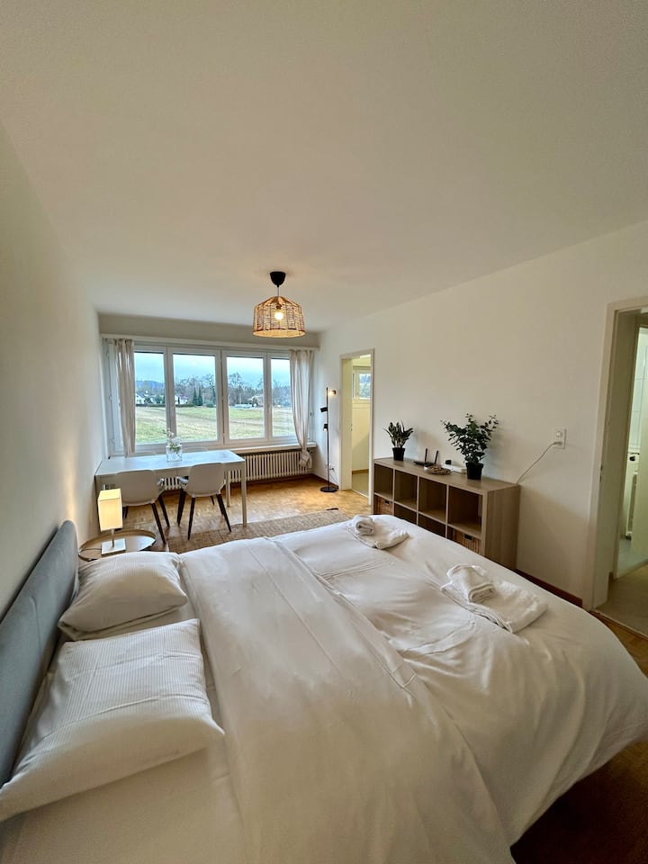 Cozy Studio In Witikon District - Erlenbach