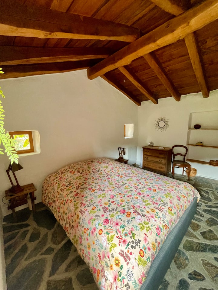Habitación 1