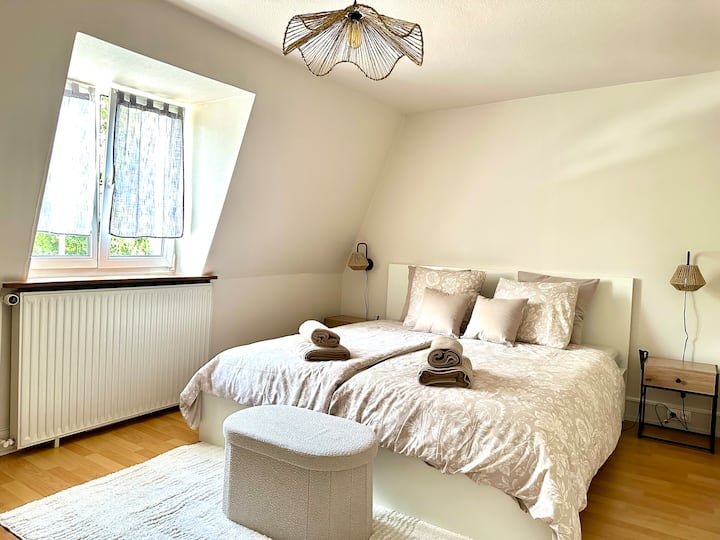 Habitación 1