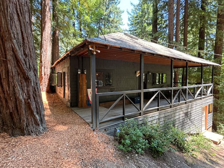 Cozy Cabin Retreat With Hot Tub & Outdoor Shower - Occidental, CA