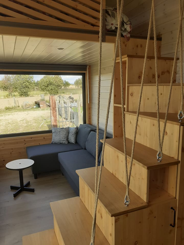 T-rex Tiny House: Stoer, Knus En Avontuurlijk - Leuven