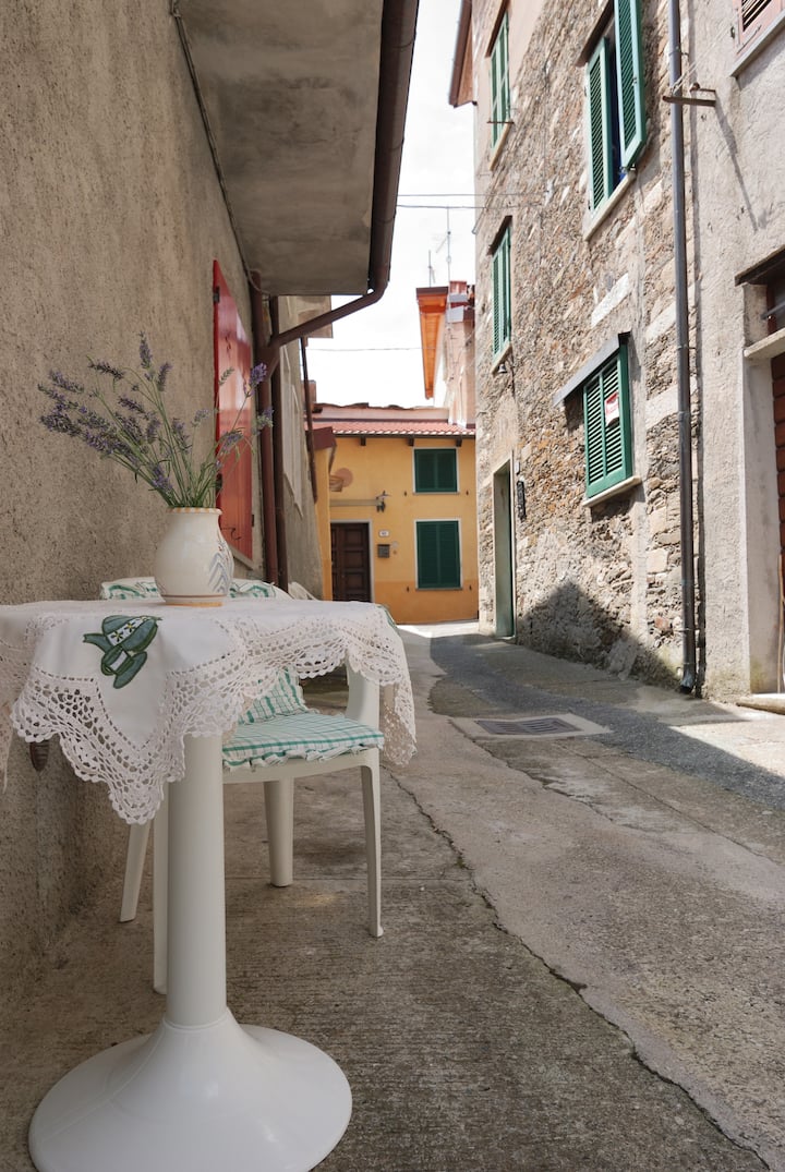 La Casa Di Tommy Sulle Alpi Apuane - Camaiore