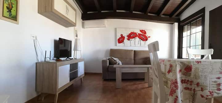 Casa Rural Los Cocoteros - Conil de la Frontera