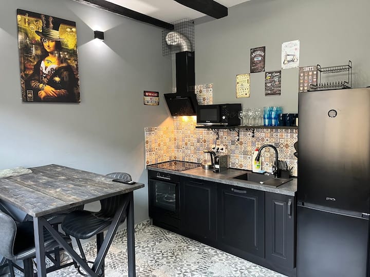 Stylish Spa City Apartment - Karlovy Vary