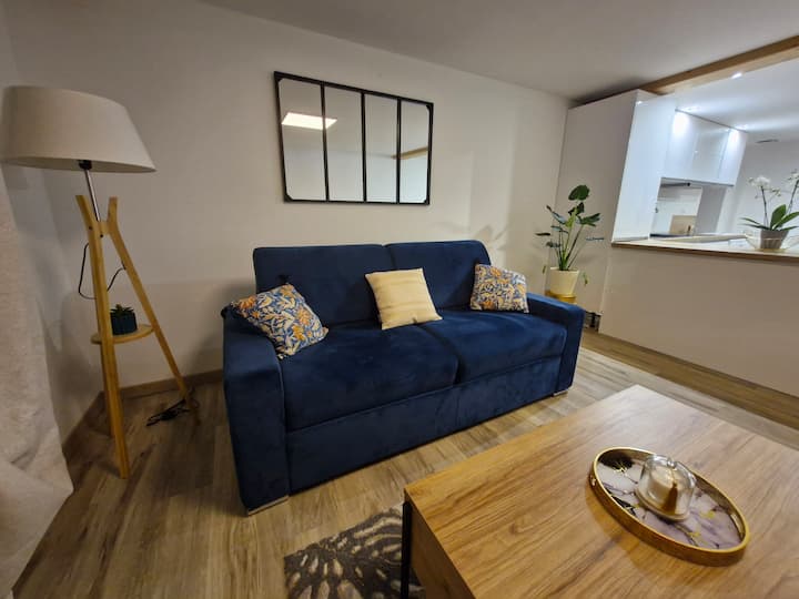 Logement Charmant Jolie Fleur - Saint-Étienne-de-Baïgorry