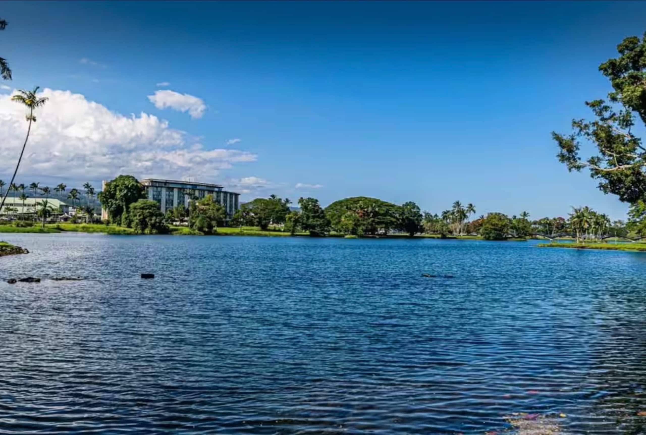 Hilo Town Condo with Pool & AC - Image 8