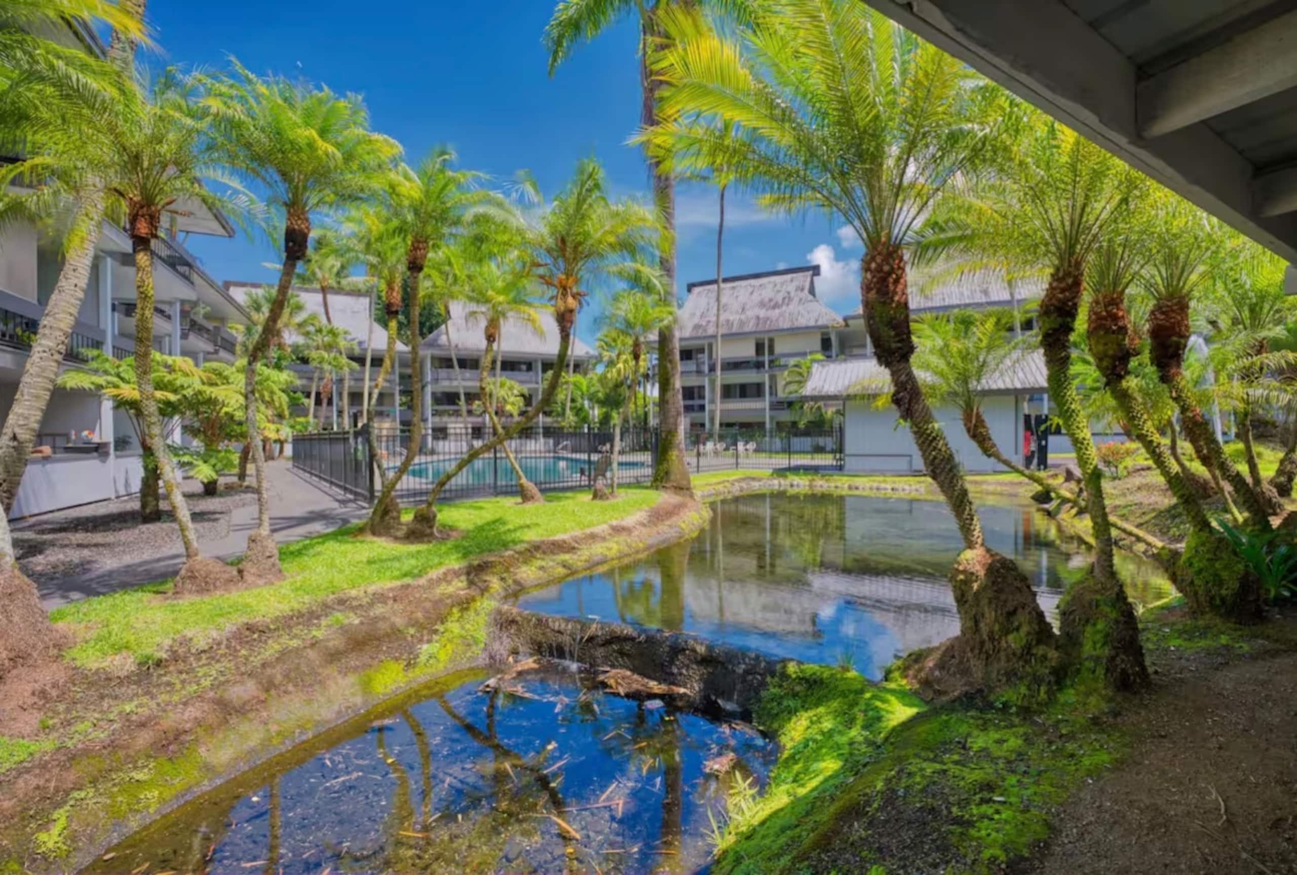 Hilo Town Condo with Pool & AC - Image 10