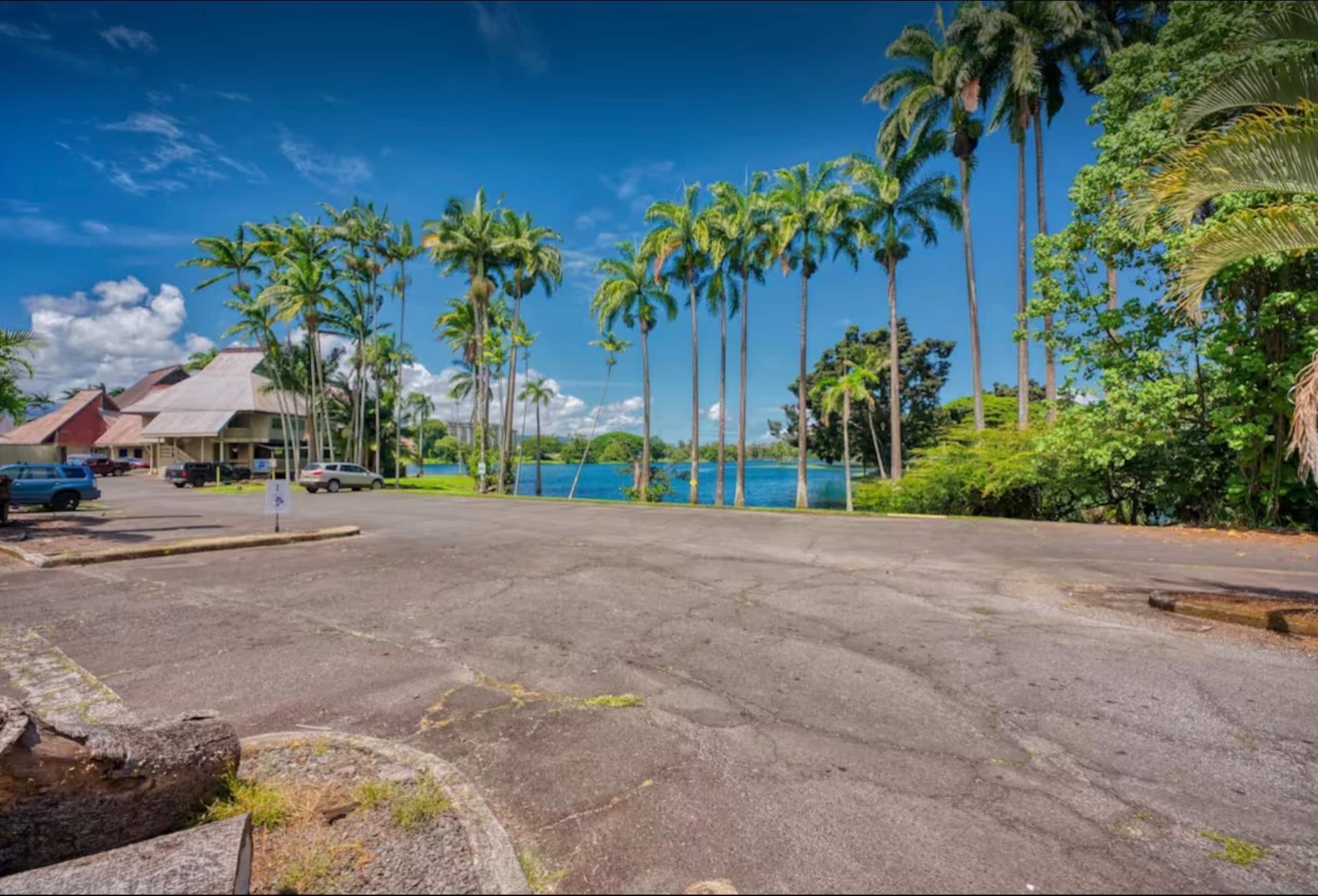 Hilo Town Condo with Pool & AC - Image 9