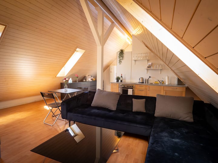 Gemütlches Studio In Toplage Nahe Flughafen Zürich - Kloten