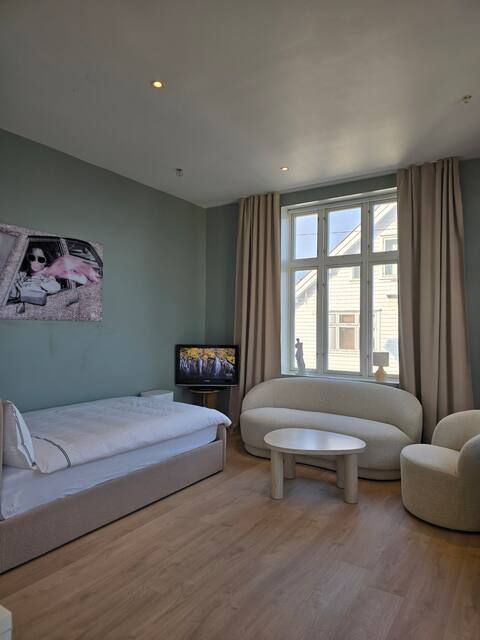 Successful Airbnb property: Studio apartment in the city center, overlooking the lake in Stord