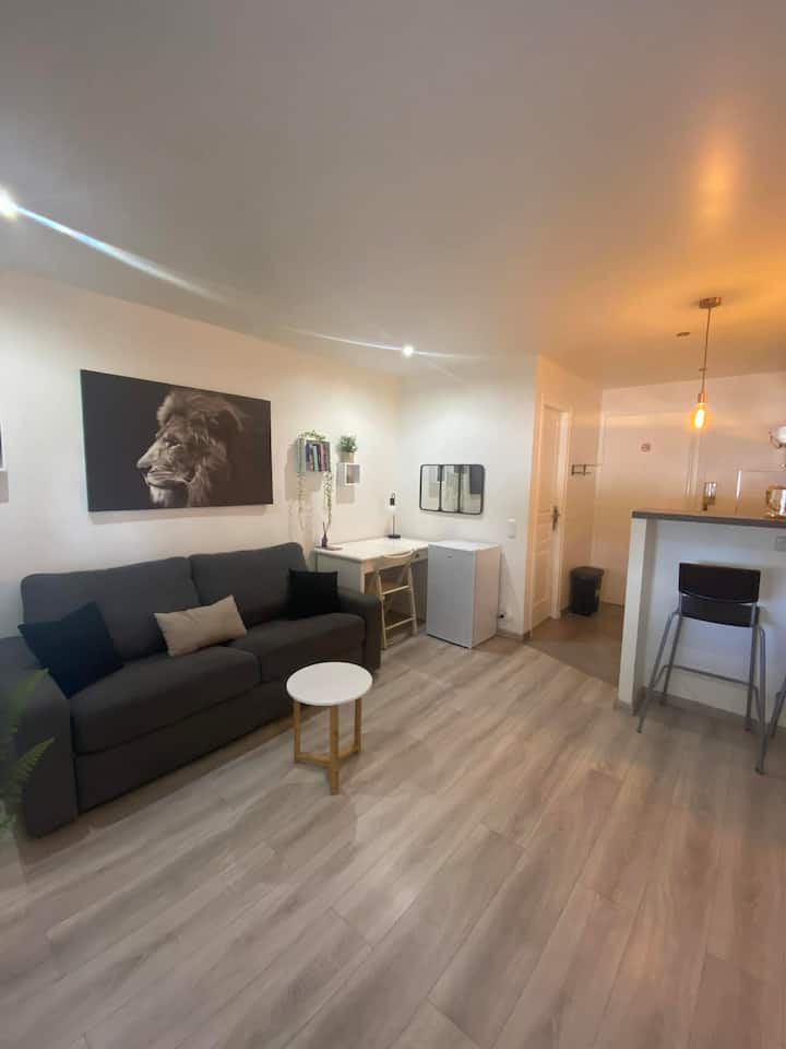 Studio Avec Un Accès Plage - Saint-Laurent-du-Var