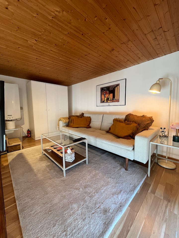 Maisonette Townhouse In Sachsenhausen - Frankfurt