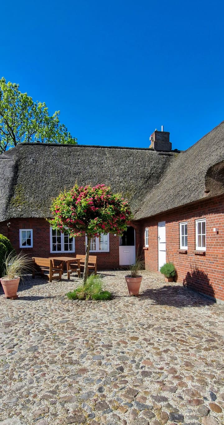 Thatched House On A Warft Near Schlüttsiel - Bordelum