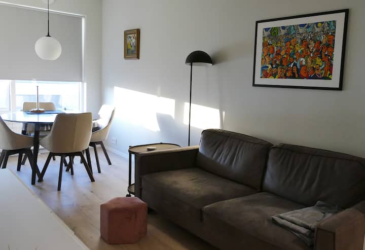 Modern Flat In Central Reykjavík - Iceland