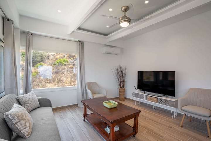 Villa Panorama By Amelin Villas Aegina - Эгина