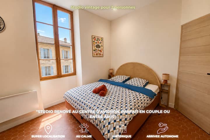 Charmant Studio Intra-muros à Avignon - Avignon