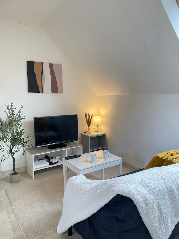 L’écrin De Marbre, Hyper Centre, Parking Privé - Quimper