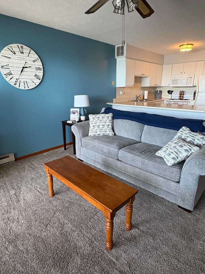 Charming 1 Bedroom Condo On The Lake - Port Clinton, OH