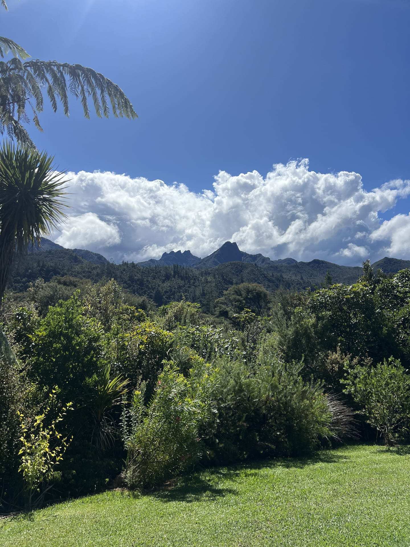 Hikuai Hilltop Retreat 3