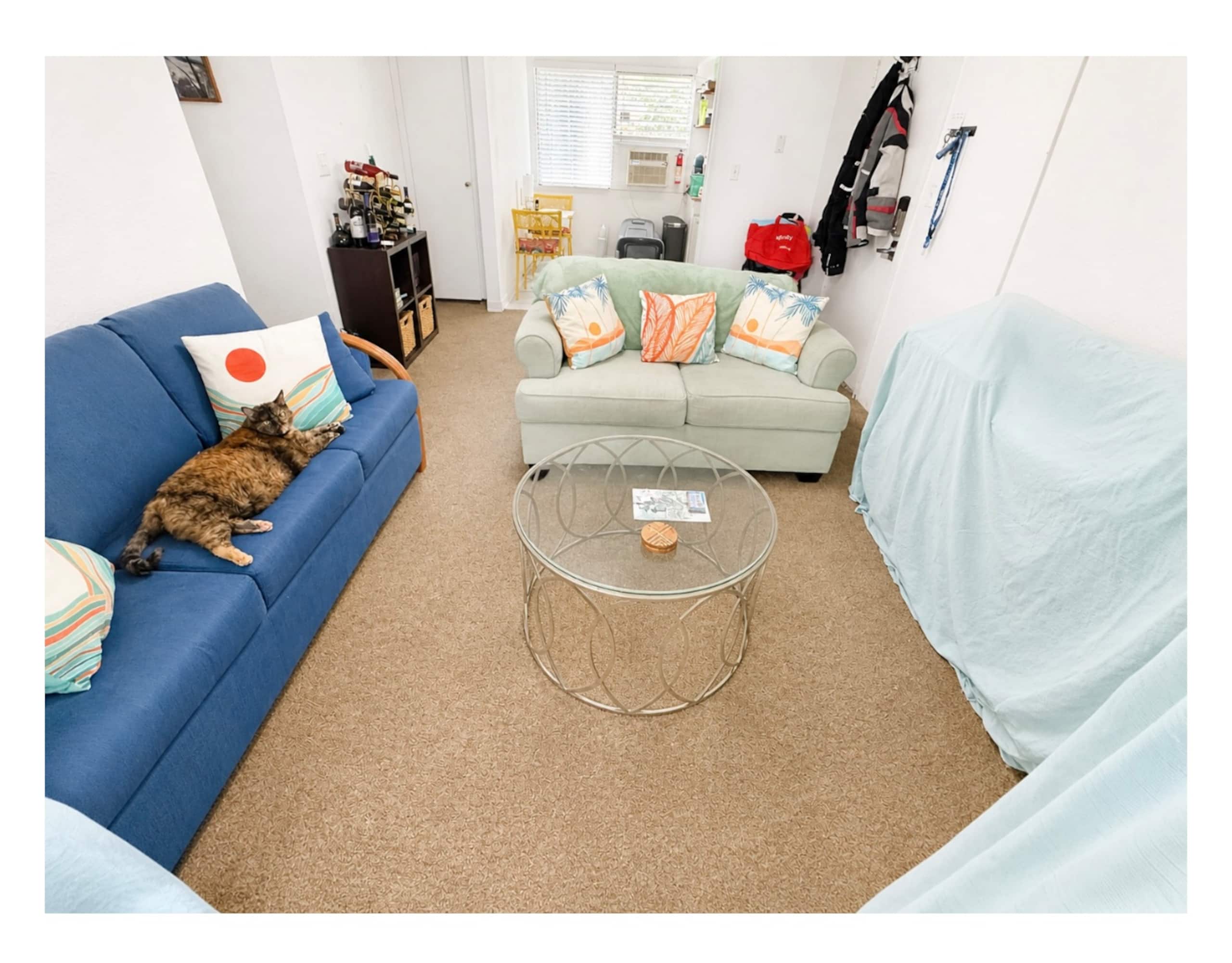 Condo in Kailua-Kona · ★5.0 · 1 bedroom · 1 bed · 1 shared bath - Image 5