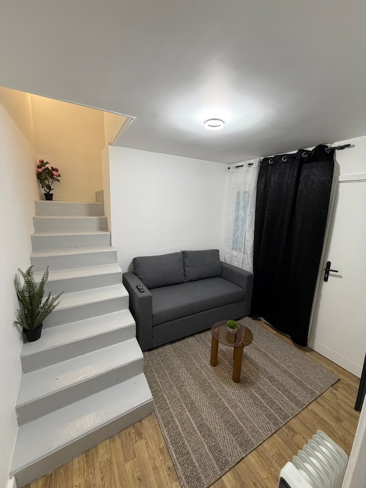 Amazing Duplex Studio - Montreuil