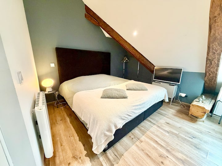 Studio Au Grand Cœur D'annecy - Annecy