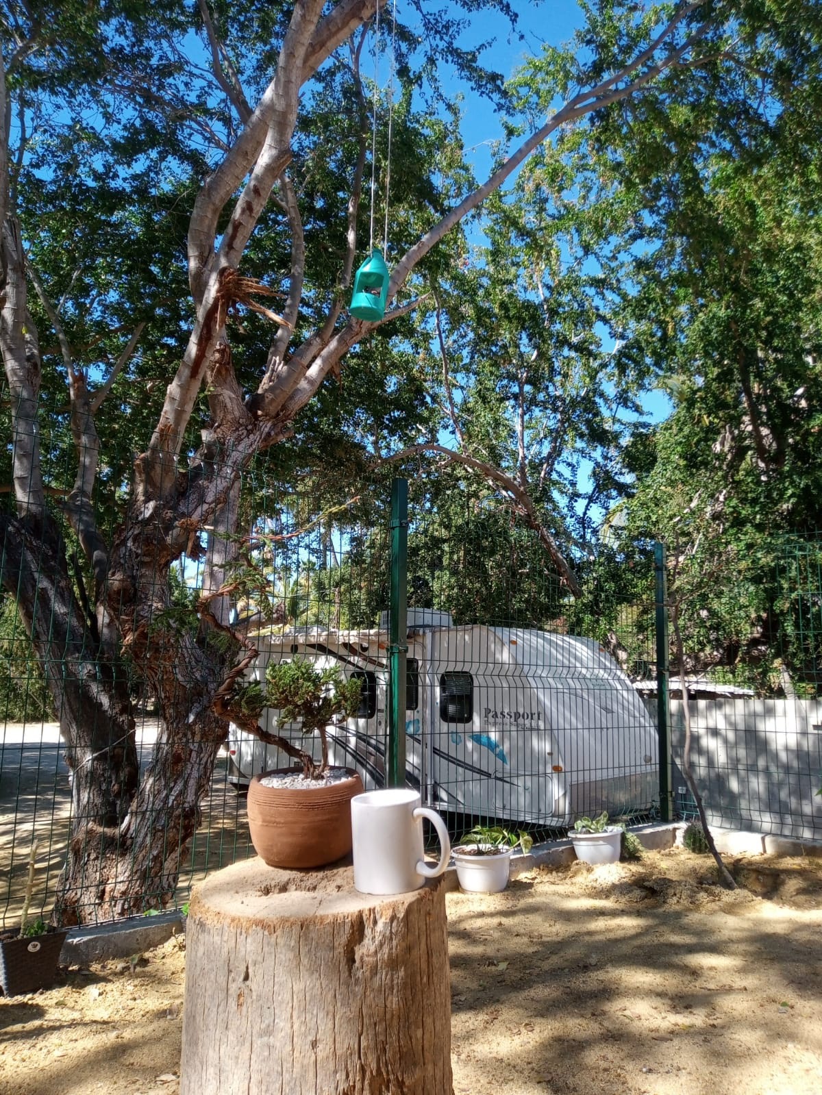RV maison roulante entre les arbres - Camping-cars/caravanes à louer à ...