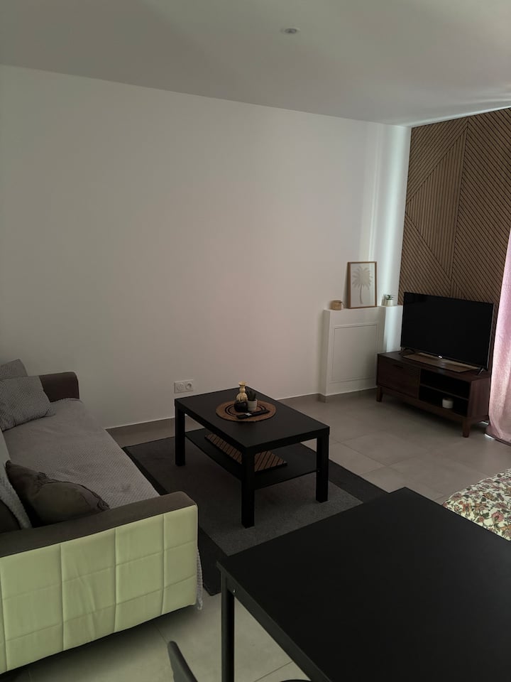Charmant & Cosy Grand Studio à Ars Sur Moselle - Augny