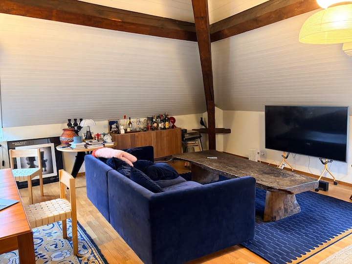 Cozy Apartment In The Hyper Center Of Geneva - Genf
