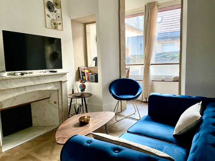 Le Petit Belin, Cosy Cocon Au Cœur De Dijon - Dijon